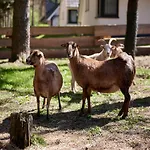 Doppelhaushaelften Im Naturresort * Drewitz